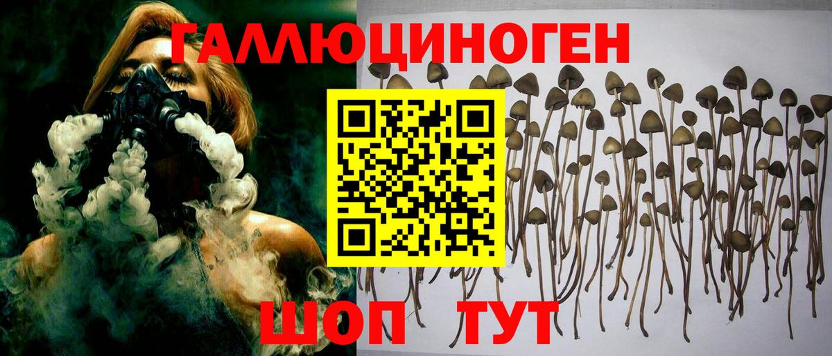 Галлюциногенные грибы ЛСД  Вход с VPN  Галлюциногенные грибы Magic Shrooms  Серов 
