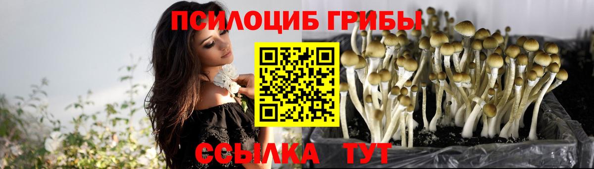 Псилоцибиновые грибы прущие грибы Серов